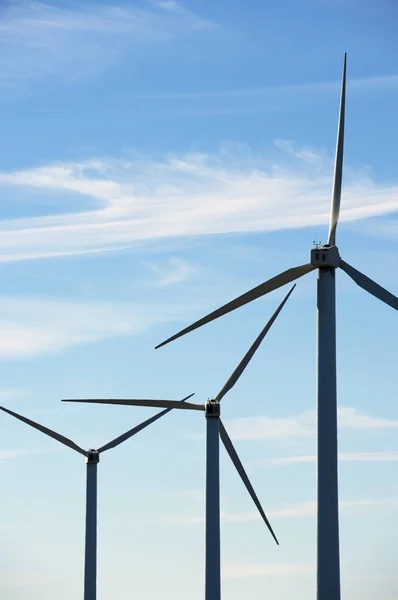 Concepto energía eólica —  Fotos de Stock