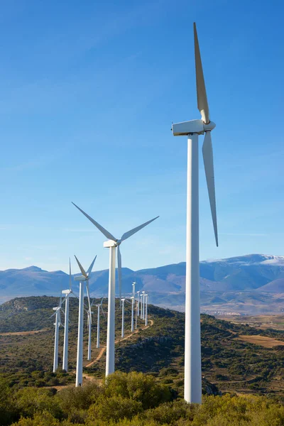 Wind energy concept — Stock Photo, Image