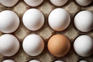 Chicken eggs view