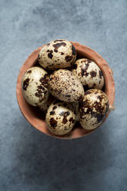 Bıldırcın yumurtası görünümü