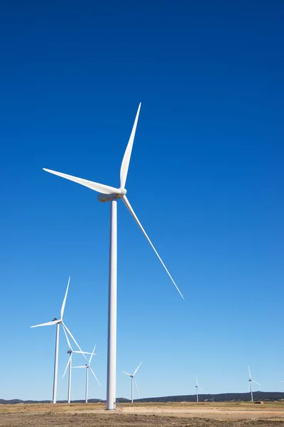 Concepto energía eólica —  Fotos de Stock