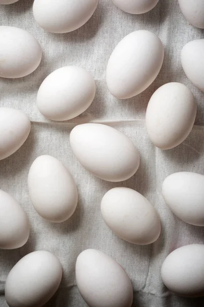 Huevos de pollo vista —  Fotos de Stock
