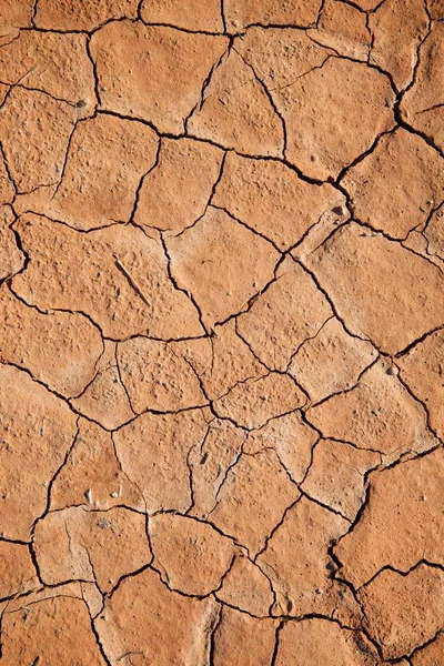 Achtergrond Hoge Resolutie Gecreëerd Met Droogteland — Stockfoto