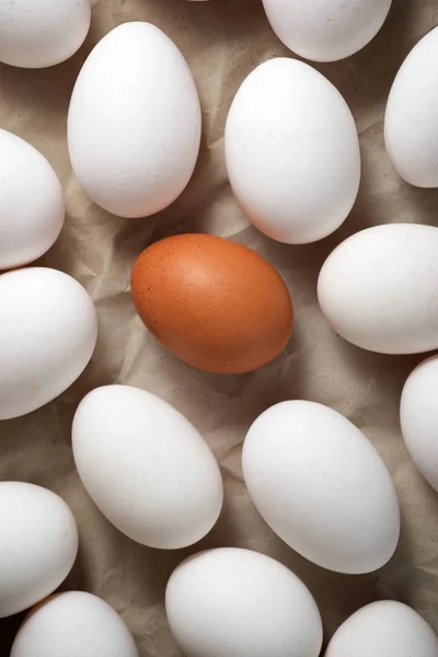 Αυγά Κοτόπουλου Χαρτί — Φωτογραφία Αρχείου
