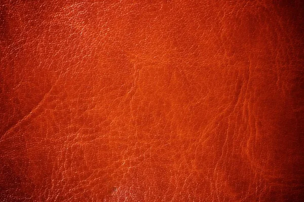 Close Natural Leather Fabric — Stock Photo, Image