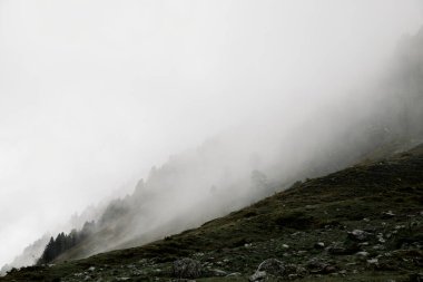 Lescun Vadisi'nde sis, Fransa'da Pireneler.