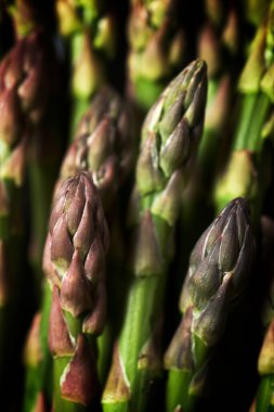 Bir grup yabani kuşkonmazın yakın çekimi..