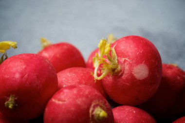 Gri masadaki turplar.