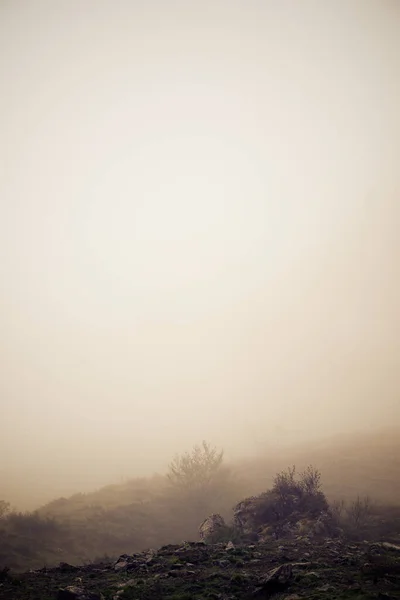 Nebbia Nella Valle Lescun Pirenei Francia — Foto Stock