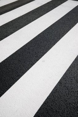 Zebra karşıya kimse geçmeden geçiyor..