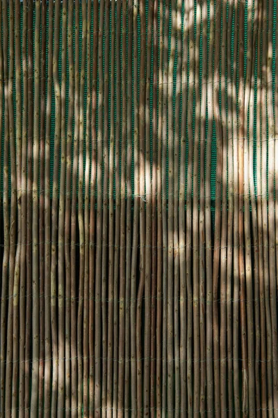 Front View Wall Dry Reeds — Stock Photo, Image