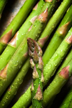Close-up of a bunch of wild asparagus. clipart
