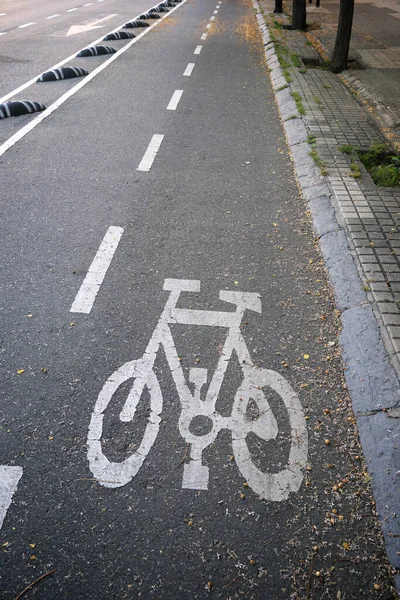 スペインのサラゴサの通りに描かれた自転車レーンサイン — ストック写真