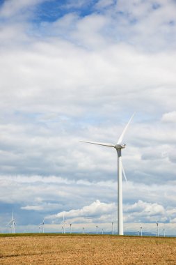 Elektrik üretimi için yel değirmenleri, Zaragoza Eyaleti, İspanya Aragon.