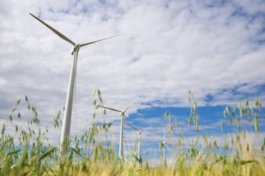 Elektrik üretimi için yel değirmenleri, Zaragoza Eyaleti, İspanya Aragon.