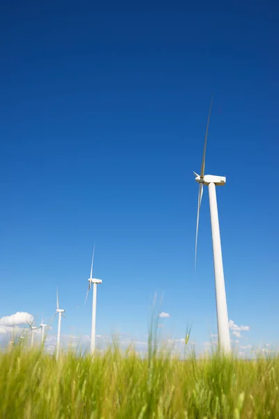 Windmolens Voor Elektriciteitsproductie Provincie Zaragoza Aragon Spanje — Stockfoto