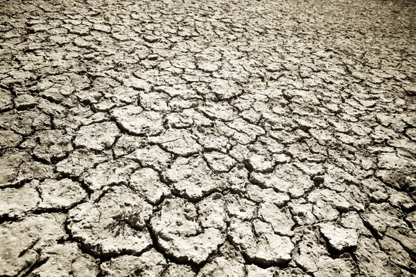 Background in high resolution created with drought land.