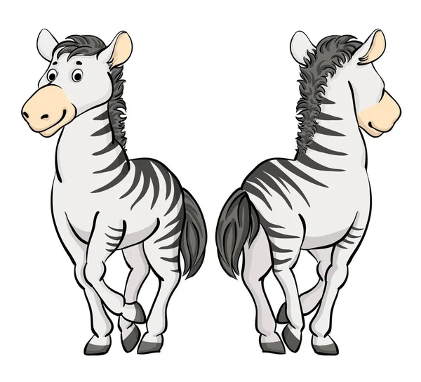 neşeli Afrika zebra çizgi film