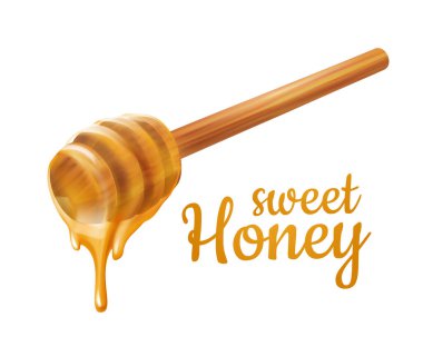 Honey Dipper. Sıvı tatlılık için tahta kaşık 3D. Gerçekçi ahşap mutfak aletleri. İzole edilmiş beyaz arka plan. vektör