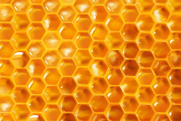 現実的なハニカムの背景。明るい色のテクスチャ蜂蜜、バナーのための3D六角形、天然製品。広告や壁紙です。ベクトル — ストックベクタ