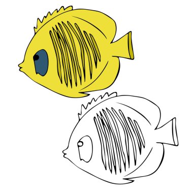 renkli sarı ve mavi kelebek balık ve devre çizgi siyah kelebek balık vektör resimleri beyaz arka plan üzerinde izole etmek