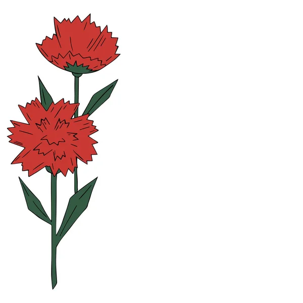 Blumen rot mit grünen Nelken auf weißem Hintergrund. Vektorillustration. 9. Mai. — Stockvektor