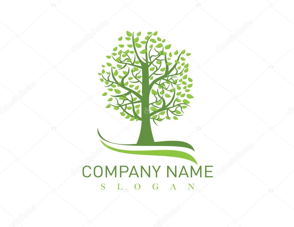 Logo of a oak tree