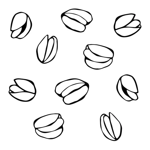 Pistache Snack Doodle Style Sketch. Illustration vectorielle de noix — Image vectorielle