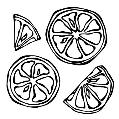 Narenciye izole üzerinde beyaz arka plan dilimlerini ayarlayın. Doodle stil vektör çizim.