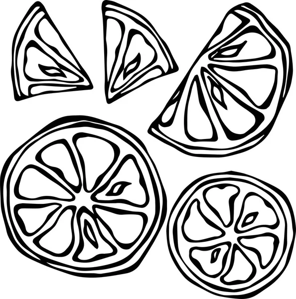 Коллекция лимонов, выделенных на белом фоне, векторная иллюстрация в стиле каракулей . — стоковый вектор