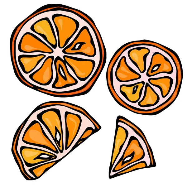 Colección de rebanadas de naranja, aislada sobre fondo blanco, ilustración vectorial de estilo Doodle . — Vector de stock