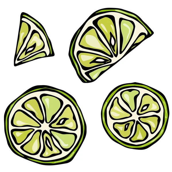 Állítsa be a szelet Lime elszigetelt fehér Background. Doodle stílus vektoros illusztráció. — Stock Vector