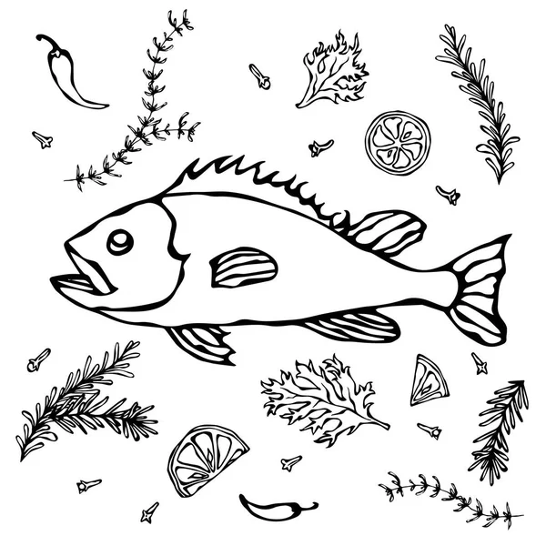 Frischer Fisch mit Kräutern und Zitrone. Vektor Meeresfrüchte realistische Illustration — Stockvektor