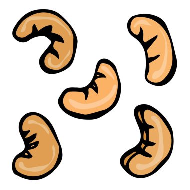 Kaju fıstığı sorunsuz. Doodle stil vektör tasarımı, beyaz arka plan üzerinde izole.