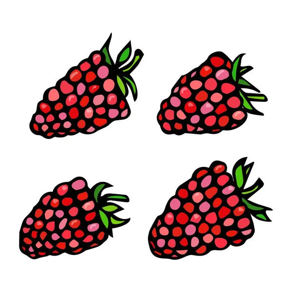 Raspberry Doodle stijl Vector Sketch, geïsoleerd op witte achtergrond. — Stockvector