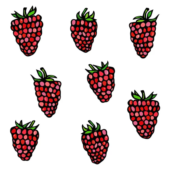 Raspberry Doodle stijl Vector Sketch, geïsoleerd op witte achtergrond. — Stockvector