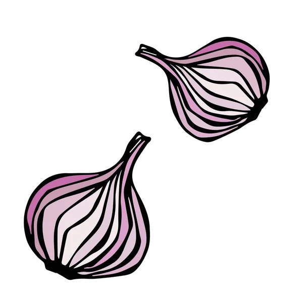 Corte de cebolla roja. Ilustración de vectores de alimentos y especias — Vector de stock