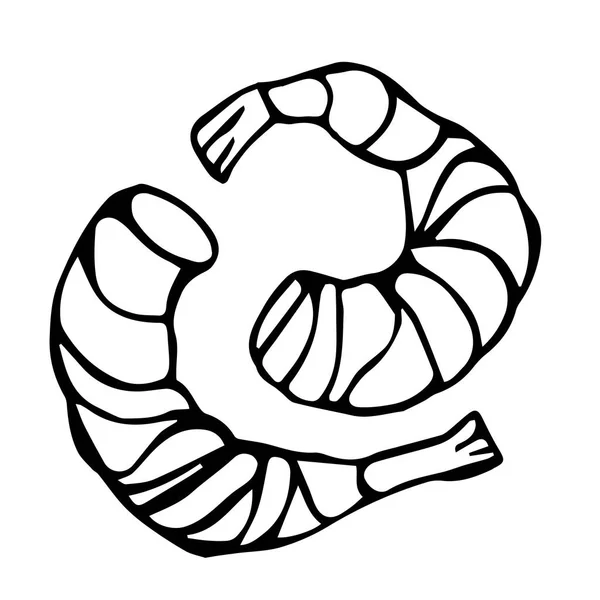 Crevettes cuites ou cocktail crevettes. Isolé sur un fond blanc Doodle dessin animé Vintage dessiné à la main croquis — Image vectorielle