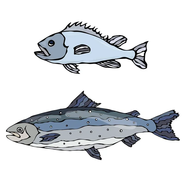 Σετ από δύο ψάρια. Ψάρια του γλυκού νερού. Εικονογράφηση διάνυσμα απομονωθεί σε λευκό φόντο — Διανυσματικό Αρχείο
