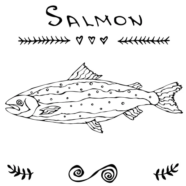Σολομός ψαριών για Ψάρεμα Club ή μενού Σούσι Θαλασσινά. Εικονογράφηση φορέα που απομονώνονται σε ένα λευκό φόντο Doodle κινούμενα σχέδια Vintage χέρι σκίτσο. — Διανυσματικό Αρχείο