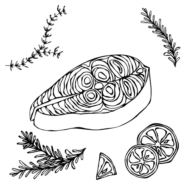 Afbeelding van biefstuk van rode vis zalm, citroen en kruiden voor Seafood Menu. Inkt vectorillustratie geïsoleerd op een witte achtergrond Doodle Cartoon Vintage Hand getrokken schets. — Stockvector