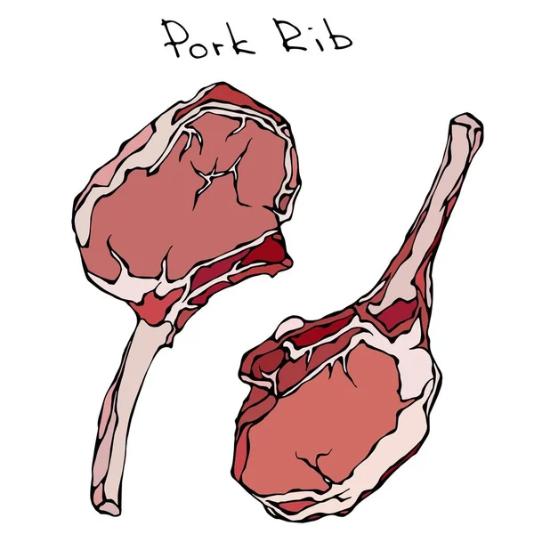 Fila costillas de cerdo. Ilustración vectorial realista Dibujado a mano aislado Doodle o dibujo animado estilo boceto. Cortes de carne fresca . — Vector de stock