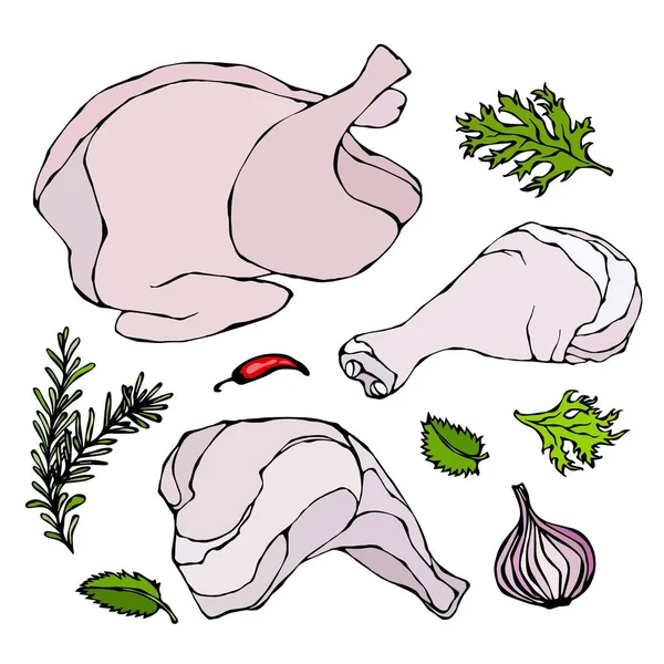 Kip of Turkije Body Parts Set. Gevogelte vlees filets, Ham, schacht met huid en kruiden. Geïsoleerd op een witte achtergrond. Realistische Doodle Cartoon stijl Hand getrokken schets vectorillustratie. — Stockvector