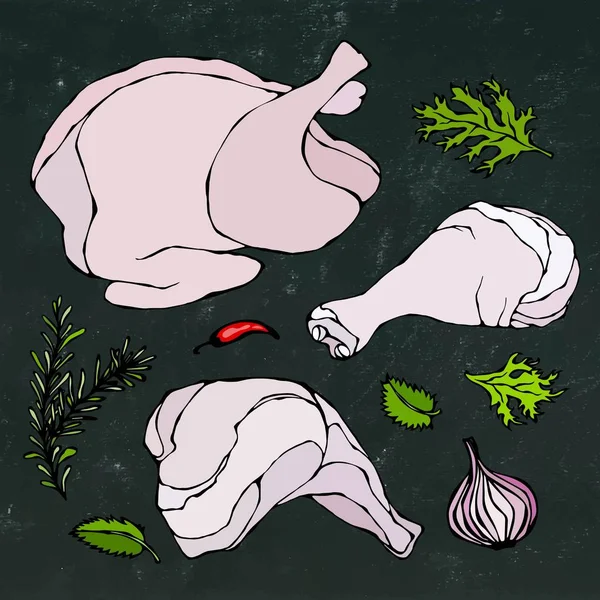 Conjunto de peças de corpo de frango ou peru. Filetes de carne de aves, presunto, canela com pele e ervas. Isolado em um fundo de papelão preto. Doodle realista Desenhos Animados Estilo mão desenhada Esboço Vector Ilustração . — Vetor de Stock