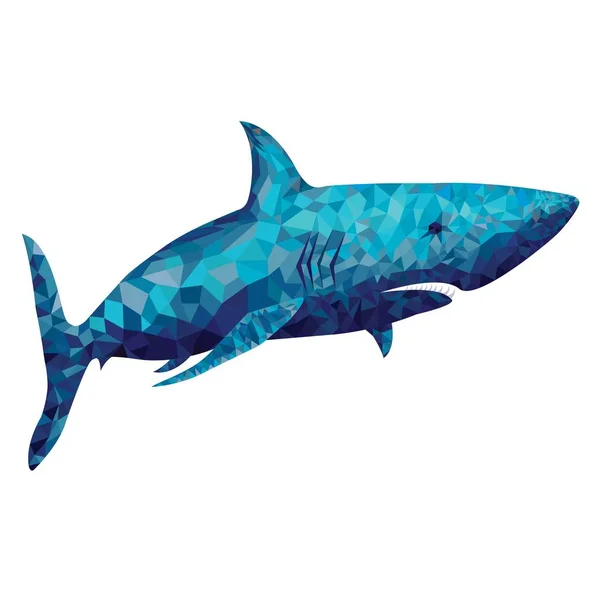 Polygonale Hai-Vektorabbildung — Stockvektor