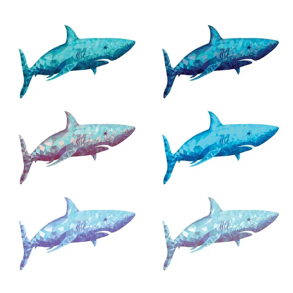 Polygonale Hai-Vektorillustration. in sechs Farbvarianten — Stockvektor
