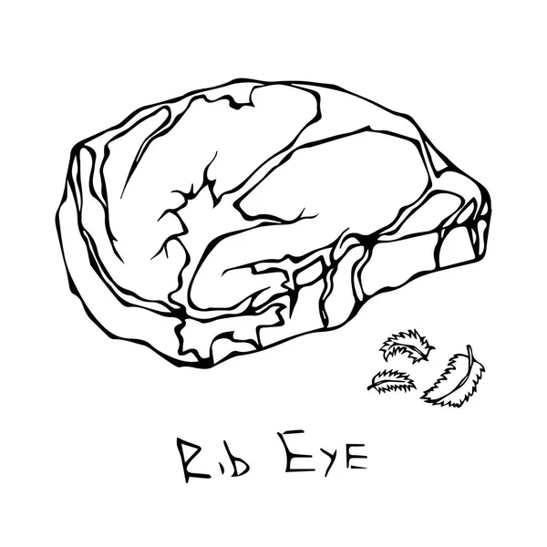 RIB Eye Steak skär vektor isolerad på vit bakgrund. Kontur. — Stock vektor