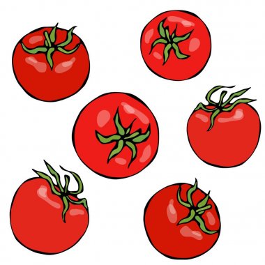 Bir demet kırmızı taze olgun domates. Beyaz bir arka plan üzerinde izole. Gerçekçi ve Doodle stili elle çizilmiş kroki vektör çizim.