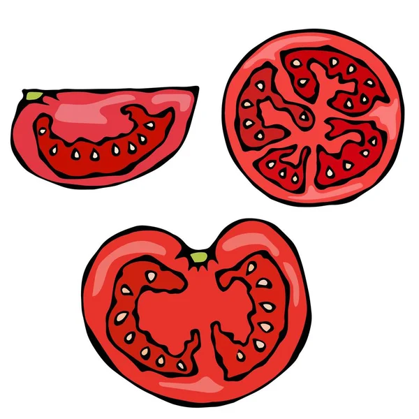 Pezzo o fetta di pomodoro rosso fresco maturo. Isolato su sfondo bianco. Illustrazione realistica e Doodle stile disegnato a mano schizzo vettoriale . — Vettoriale Stock