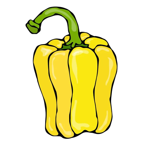 Hele gele Paprika, paprika of Sweet Bulgaarse peper. Geïsoleerd op een witte achtergrond. Realistische en Doodle stijl Hand getrokken schets vectorillustratie. — Stockvector